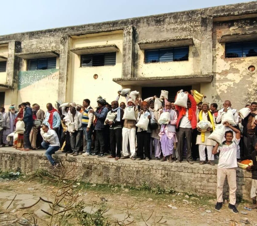 राष्ट्रीय खाद्य सुरक्षा मिशन के तहत किसानों को निःशुल्क मसूर मिनीकिट वितरित